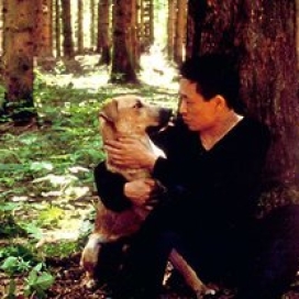 Movie picture
