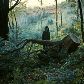 Movie picture