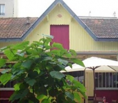 News picture